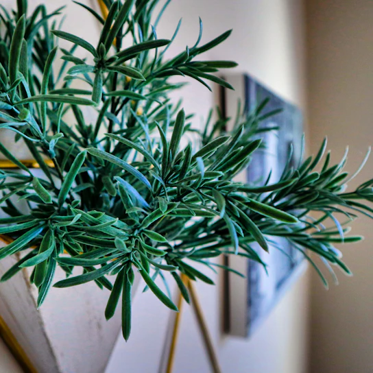 Close-up of a sleek metallic planter with a vibrant green plant inside, highlighting texture and finish.