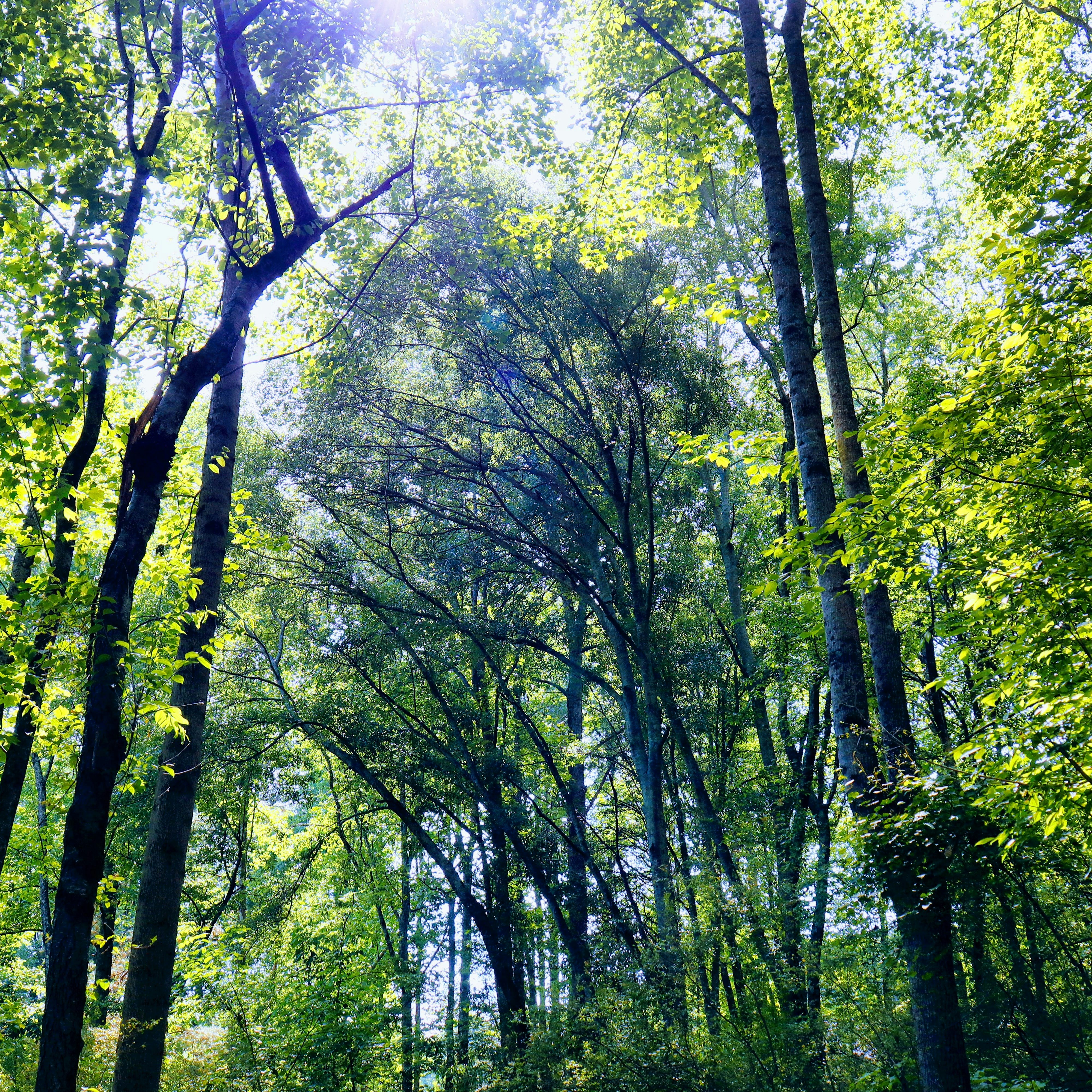 Photo by rjbutlerphotography