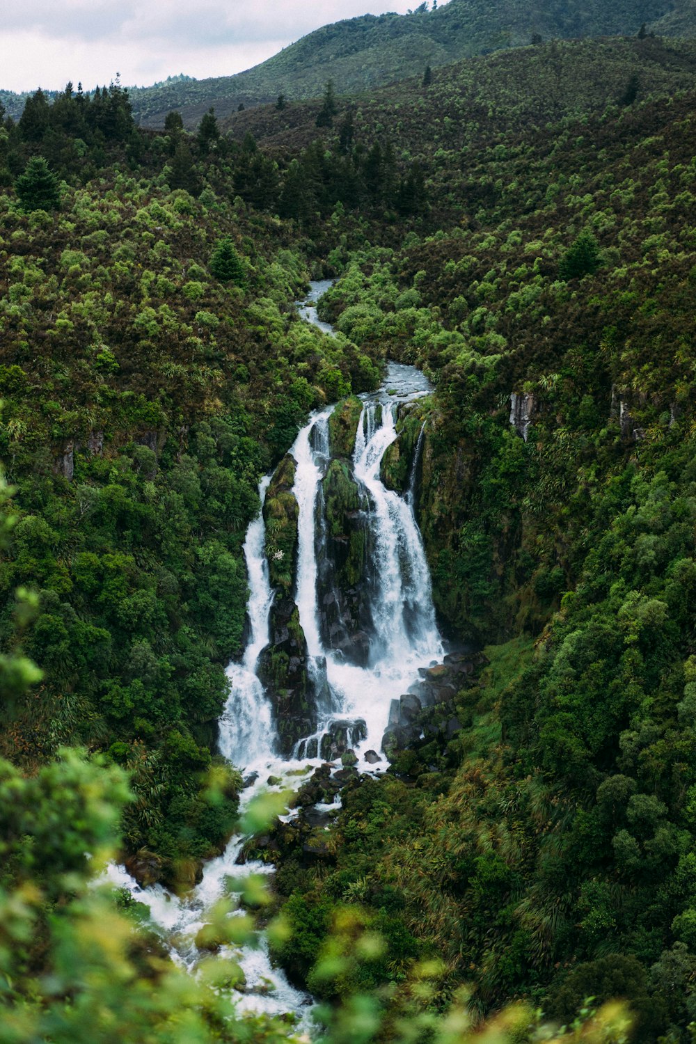 waterfalls in the middle of green trees