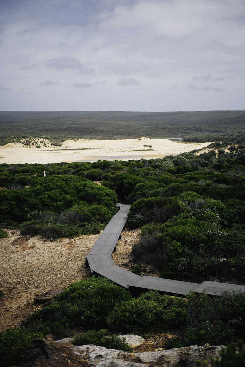 Coastal cliffs and bushland in Royal National Park
