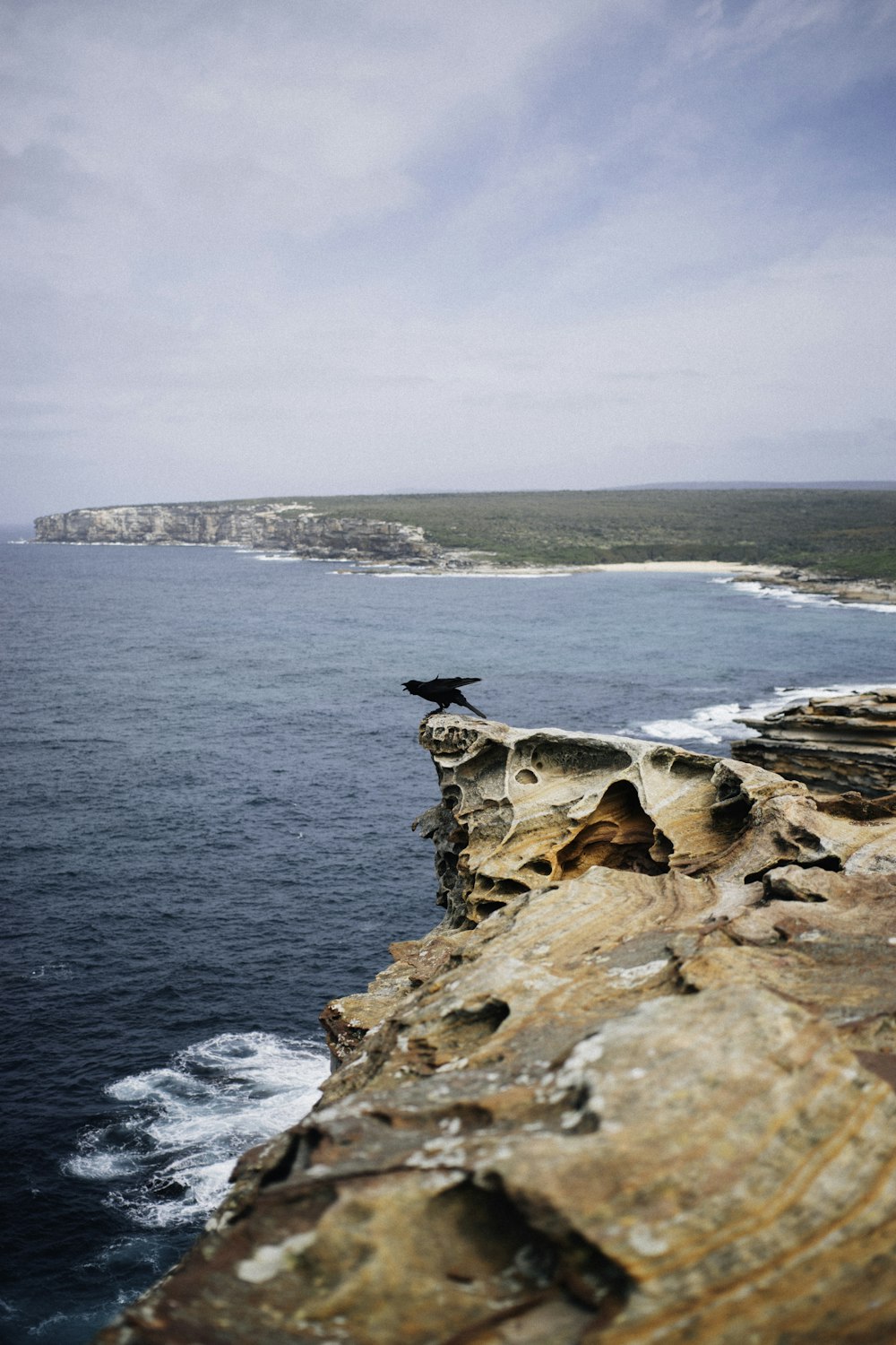 gray rocky shore under white sky during daytime