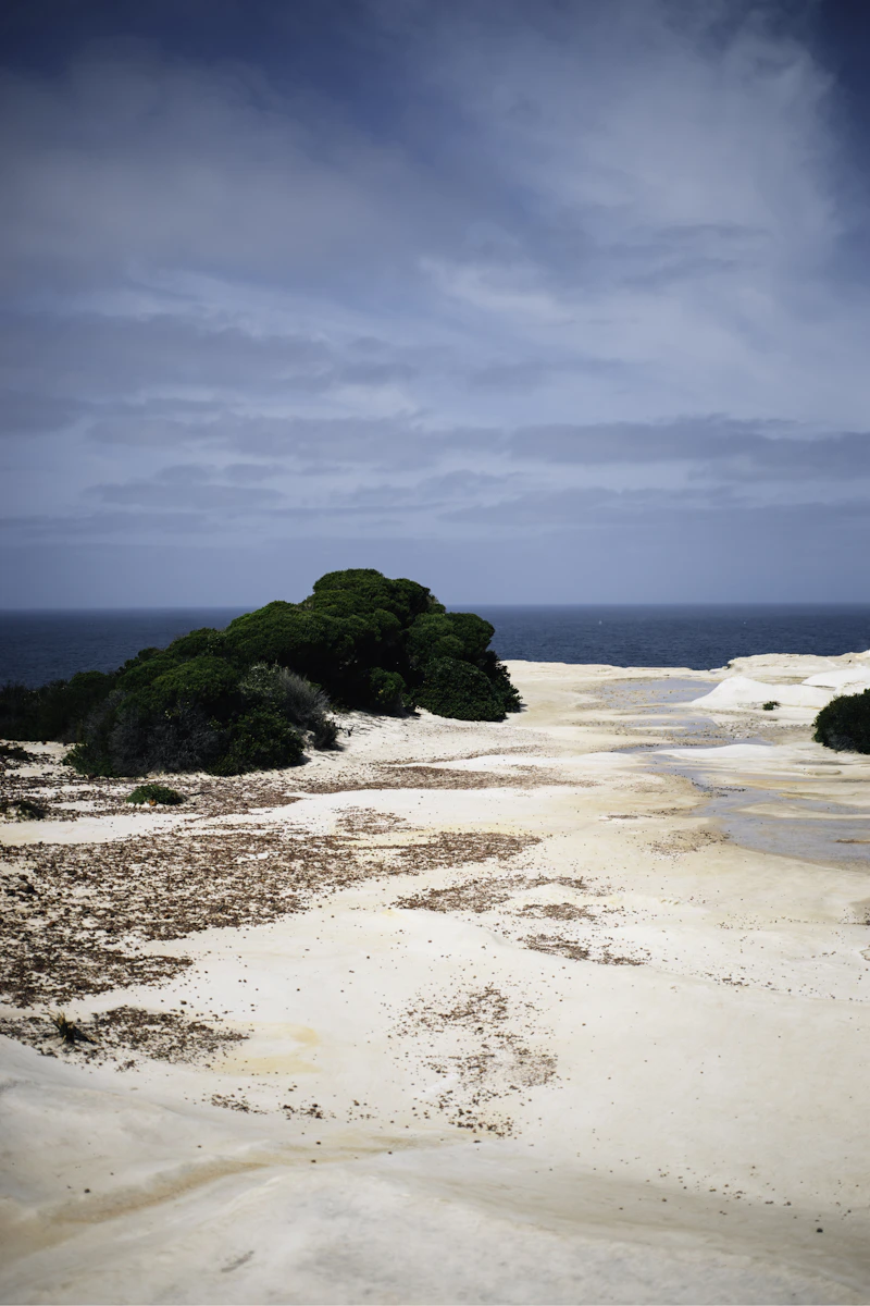 Wattamolla Beach lagoon in Royal National Park