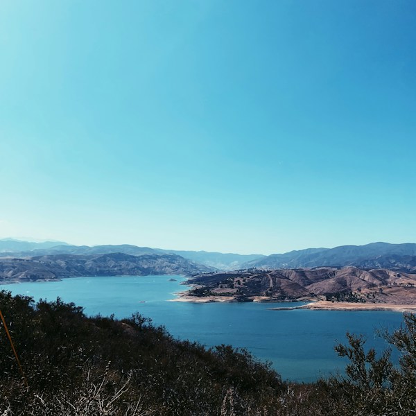 Crissy Field