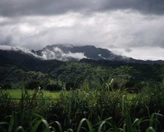 green grass field near mountain under white clouds during daytime