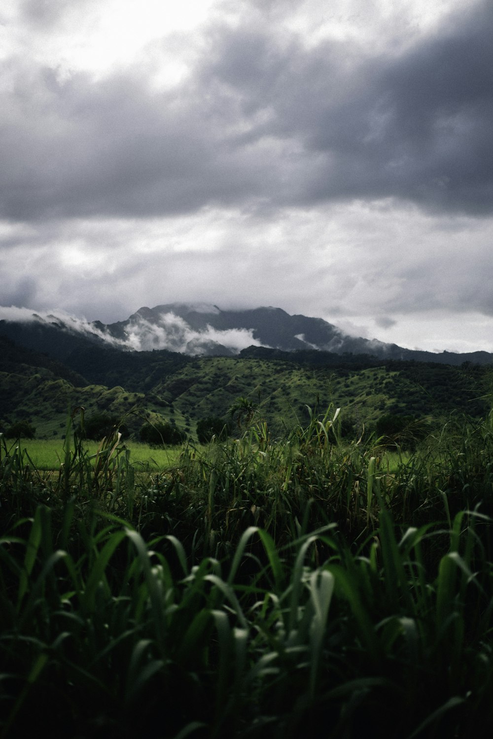 campo de hierba verde cerca de la montaña bajo nubes blancas durante el día