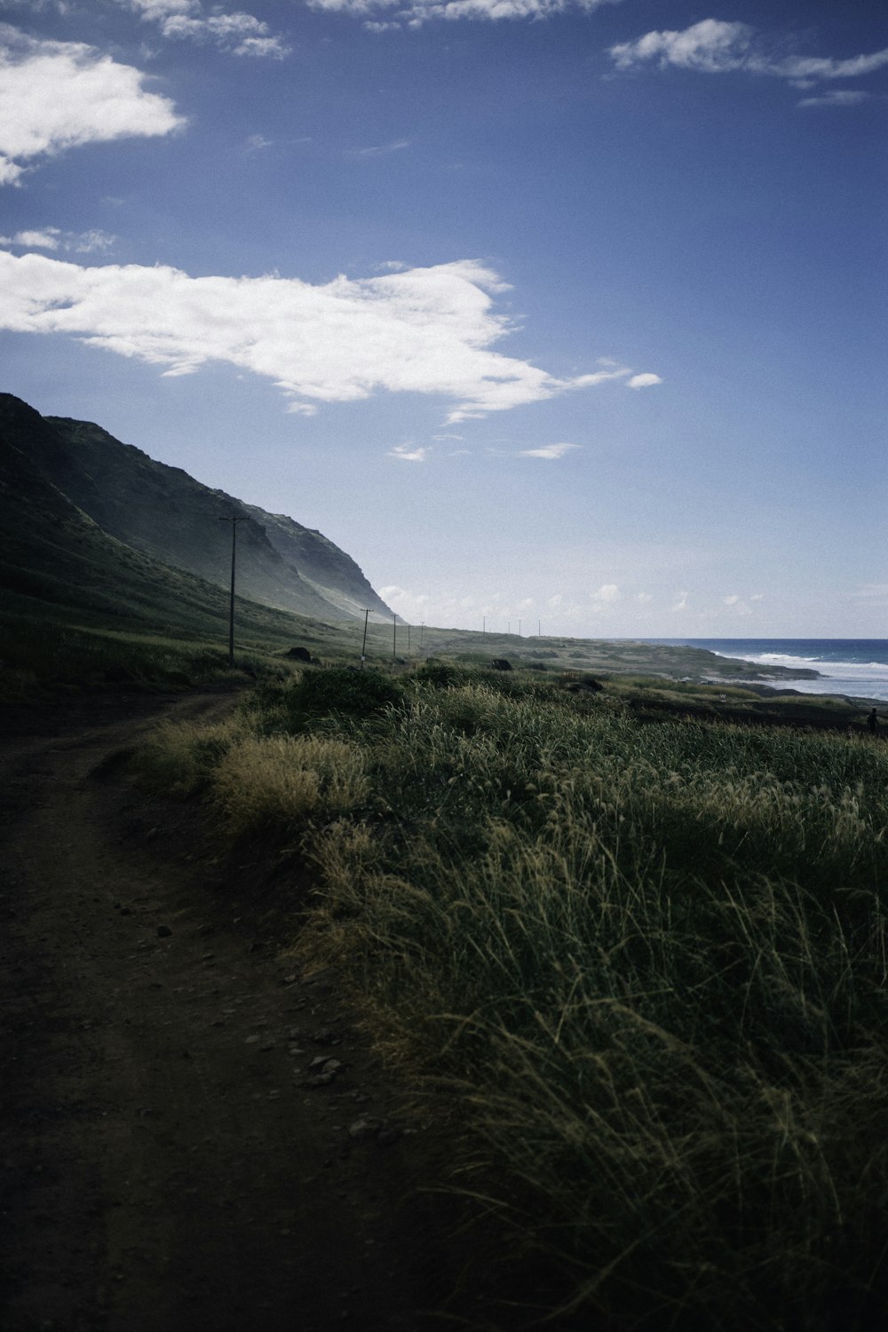 green grass field near body of water under blue sky during daytime