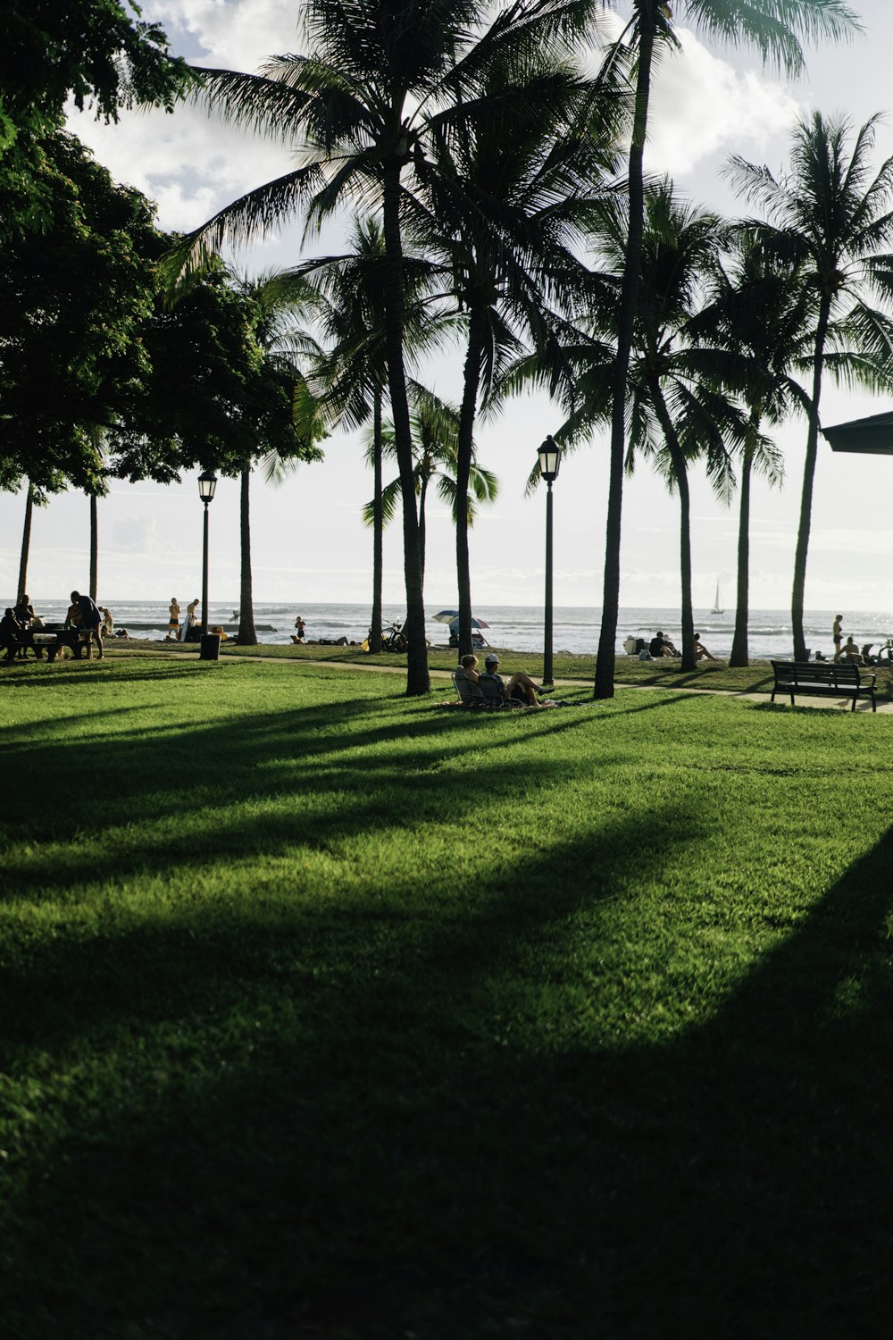 people sitting on bench near palm trees during daytime
