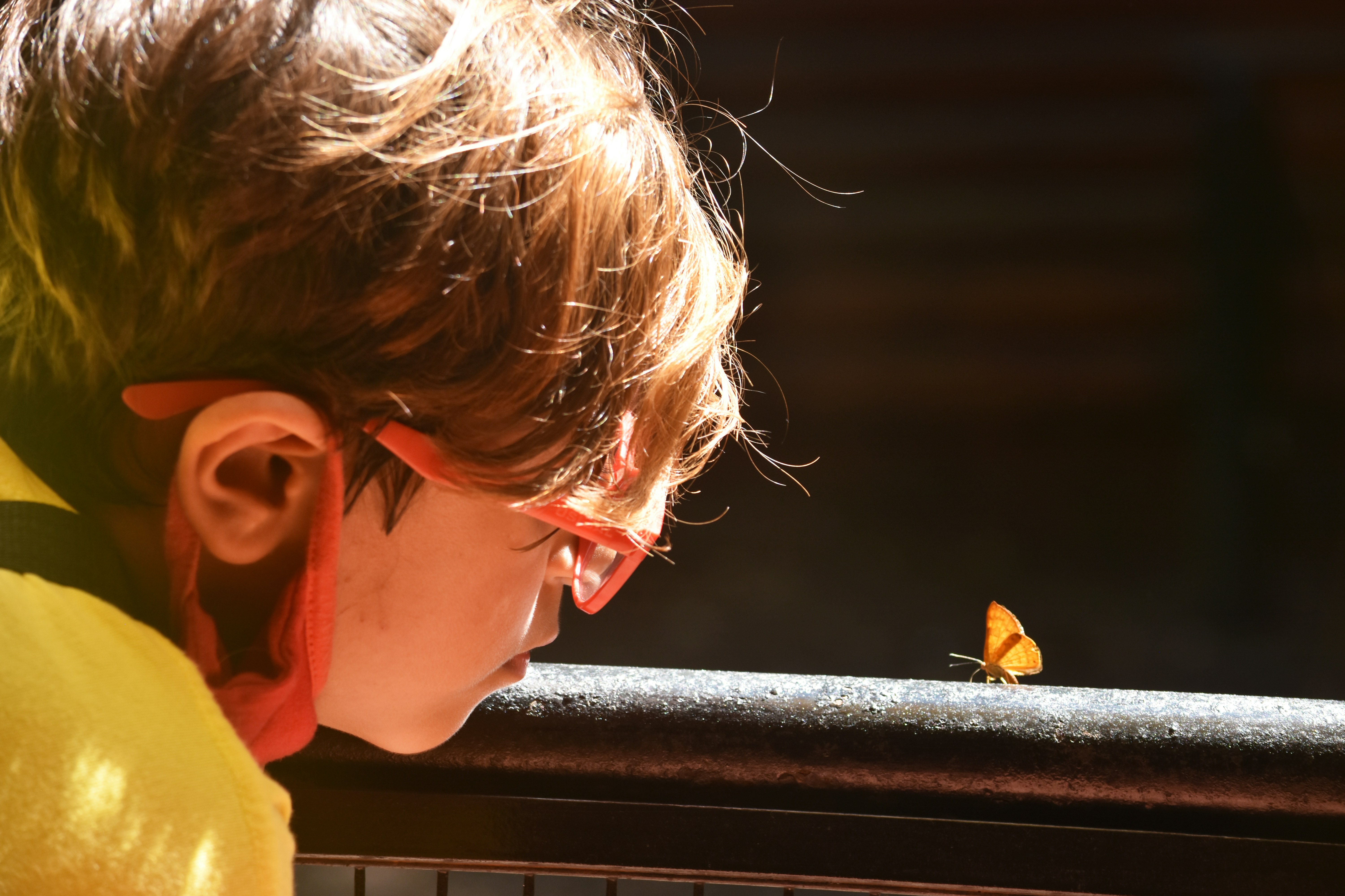 How to Think Like a Beginner 