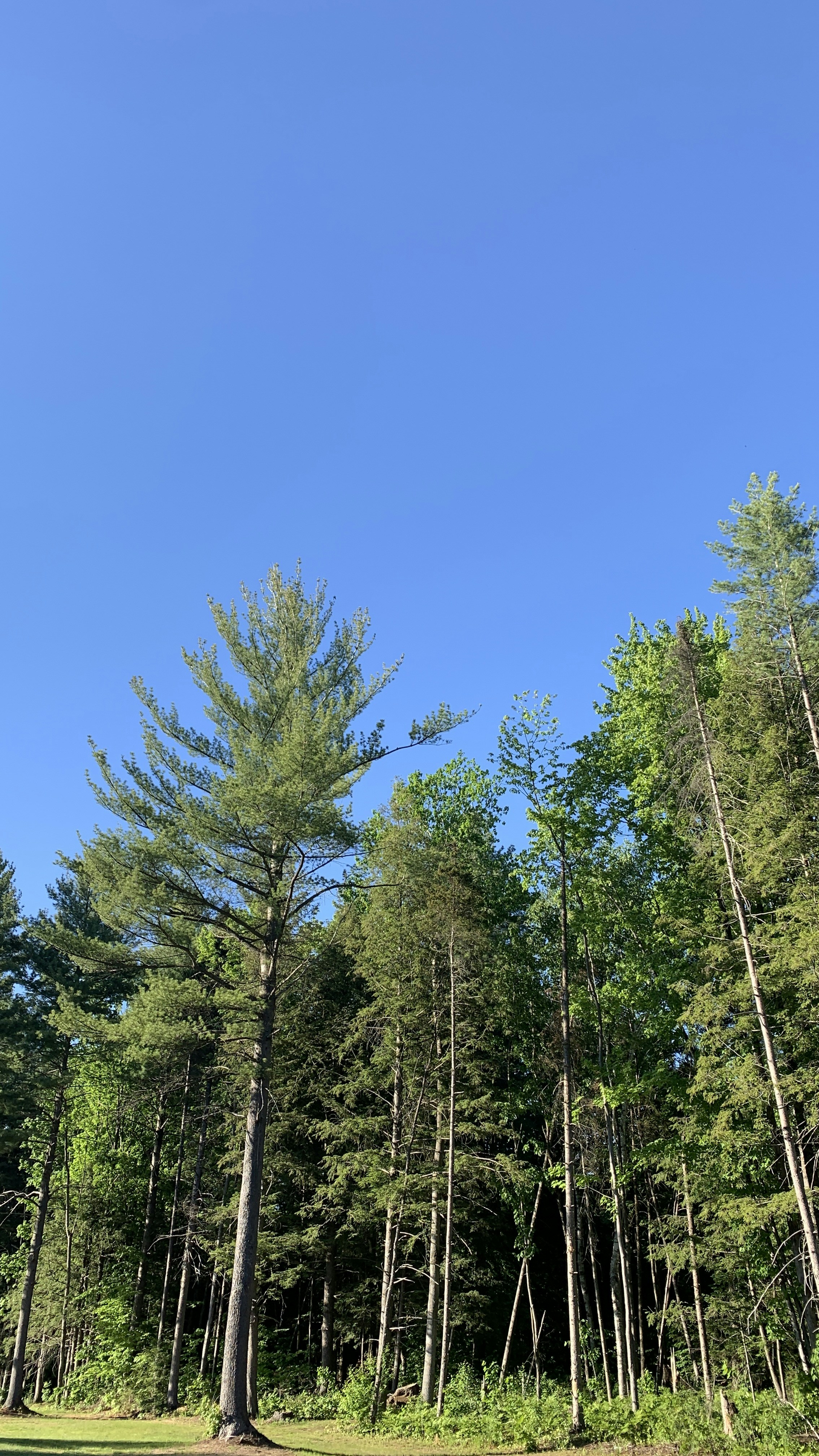 Photo by bouthillier27