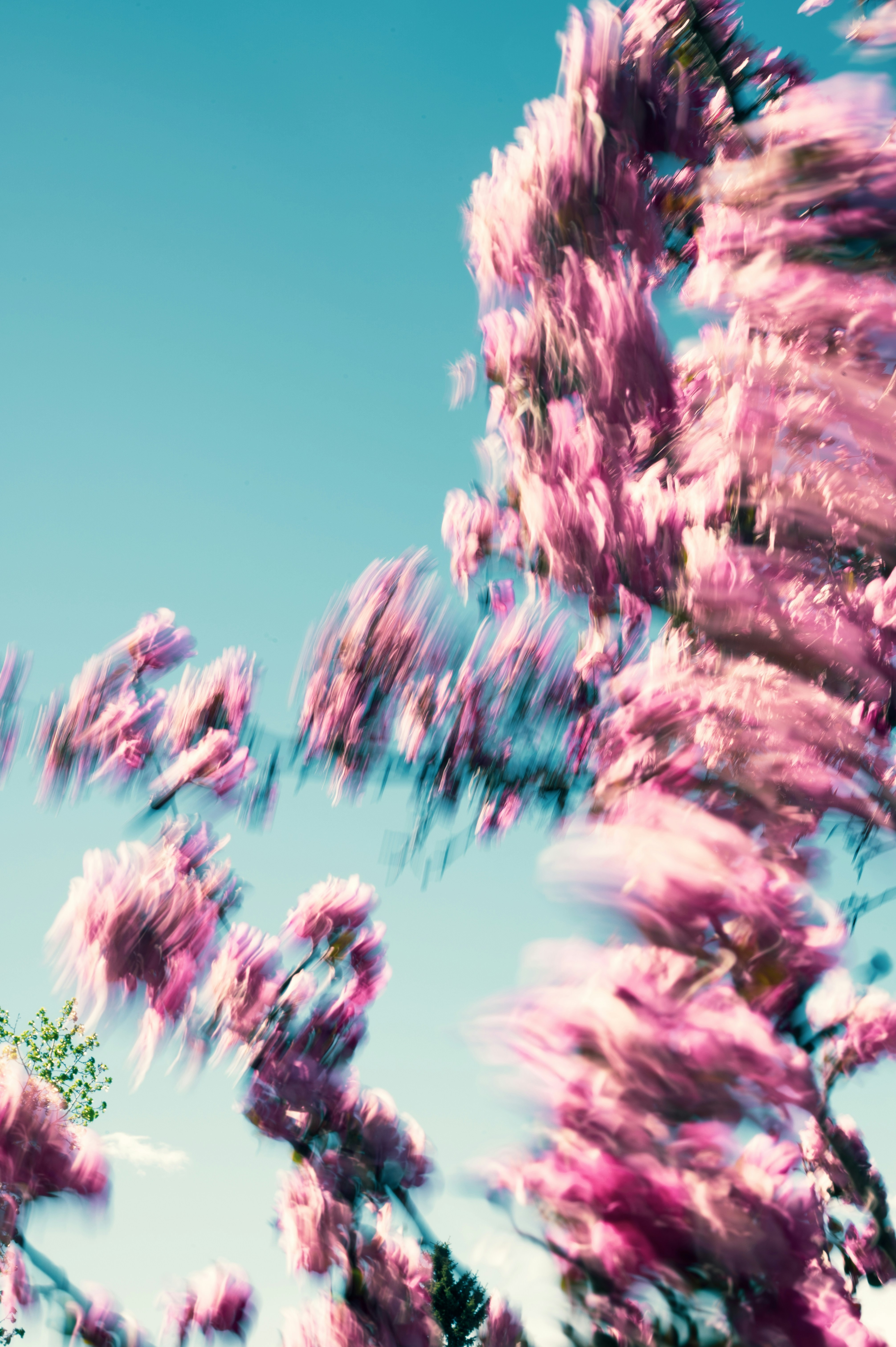 Photo by ryunosuke_kikuno