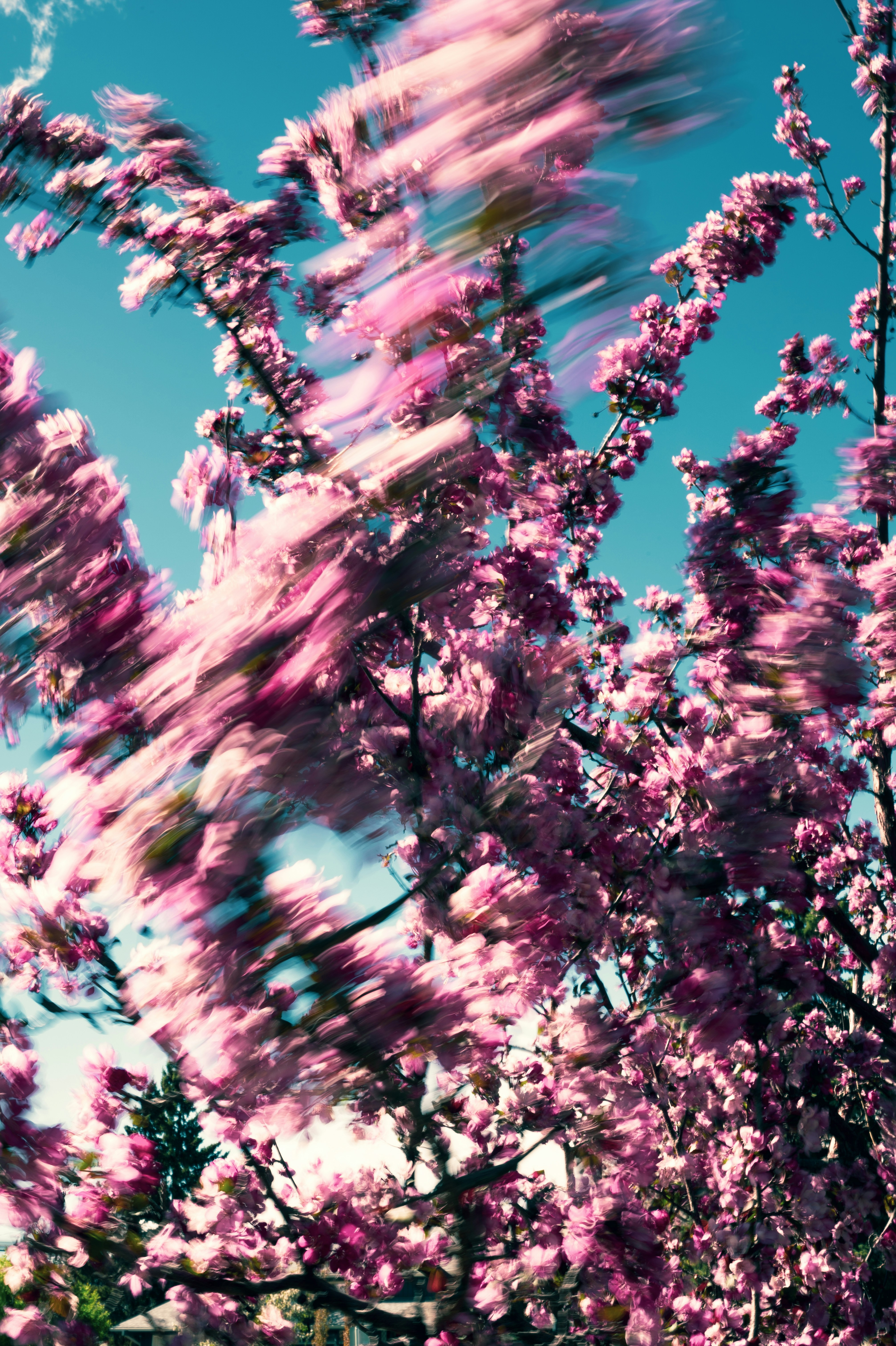 Photo by ryunosuke_kikuno