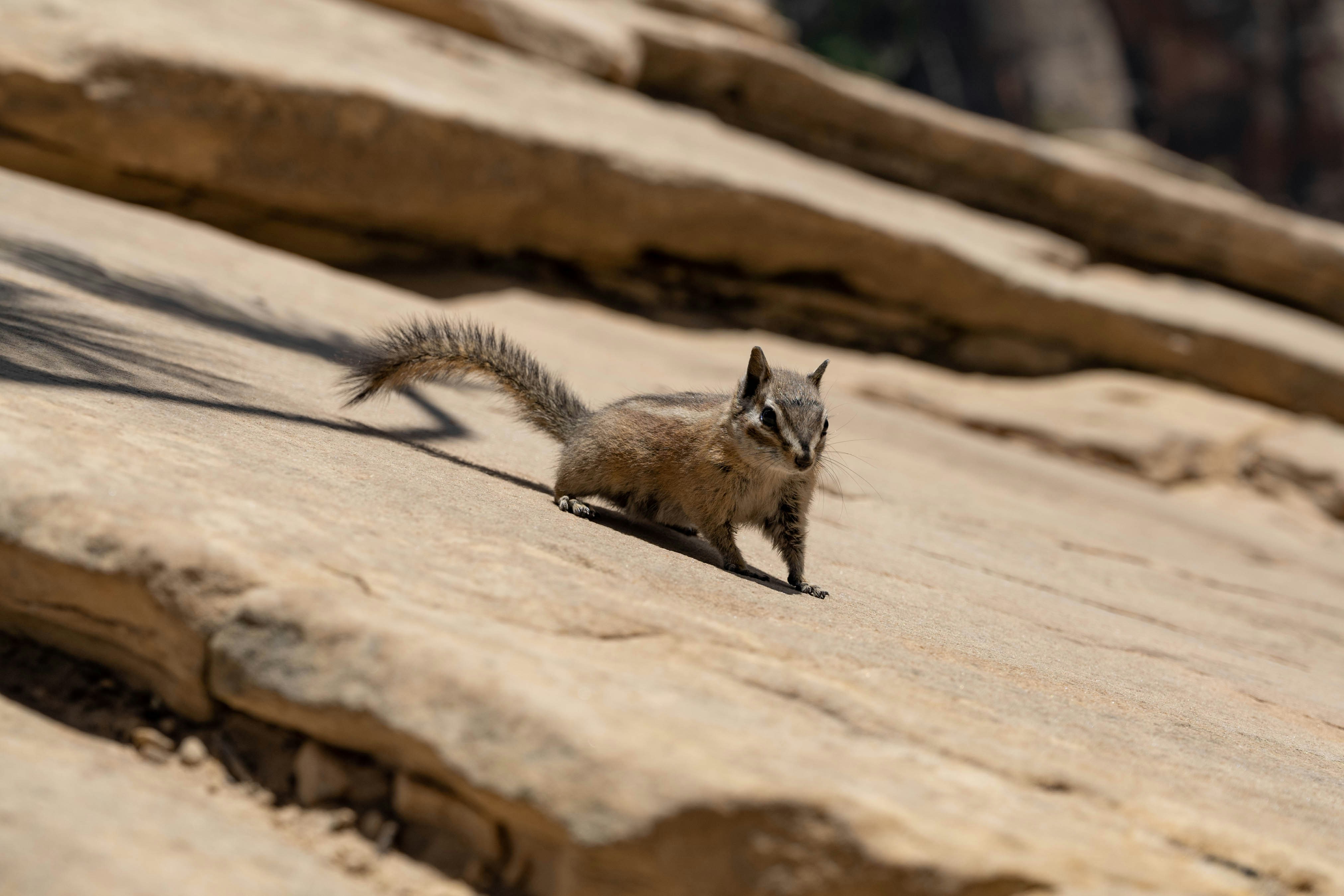 Photo by goldencoastgrams