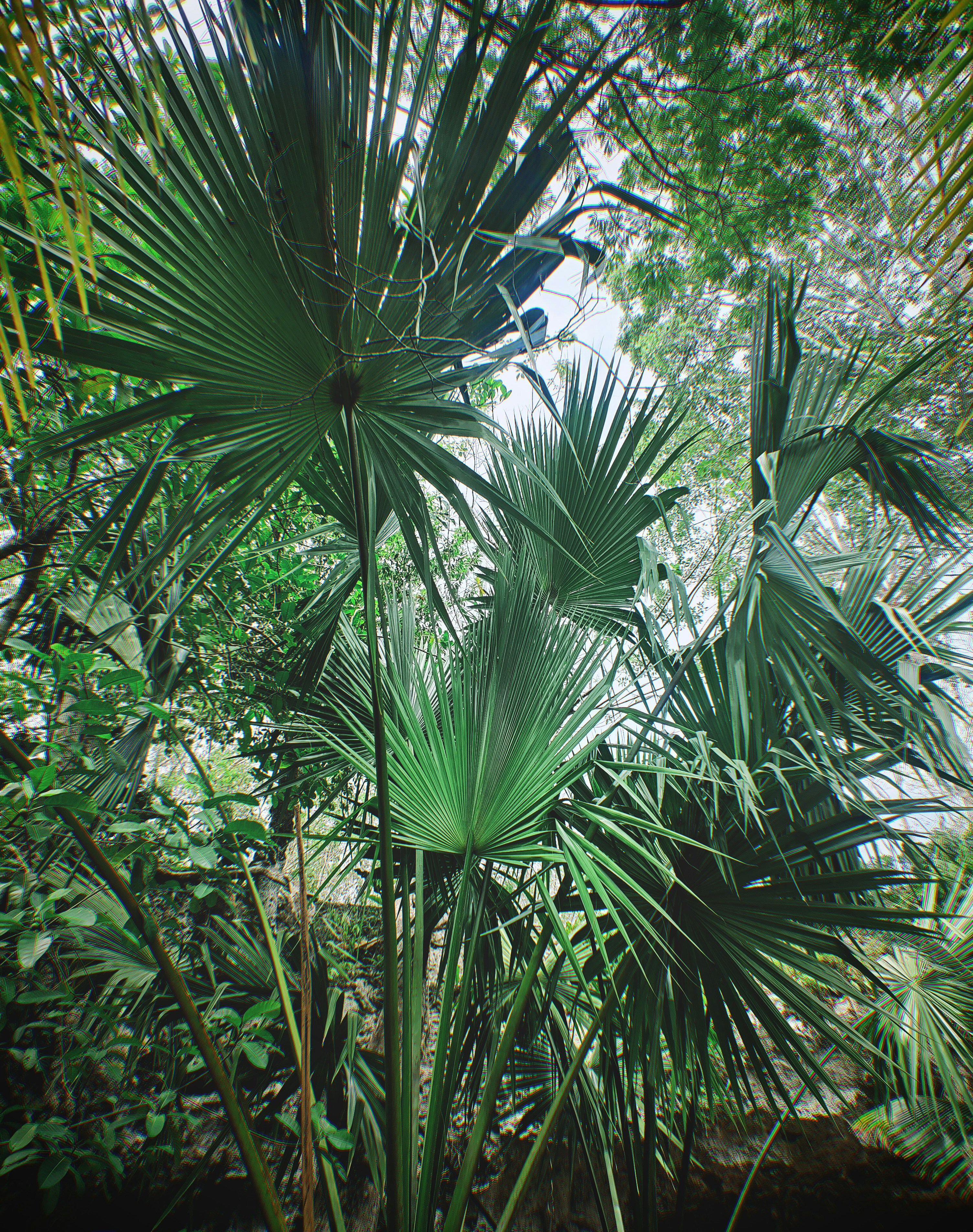 Photo by repainttheworld