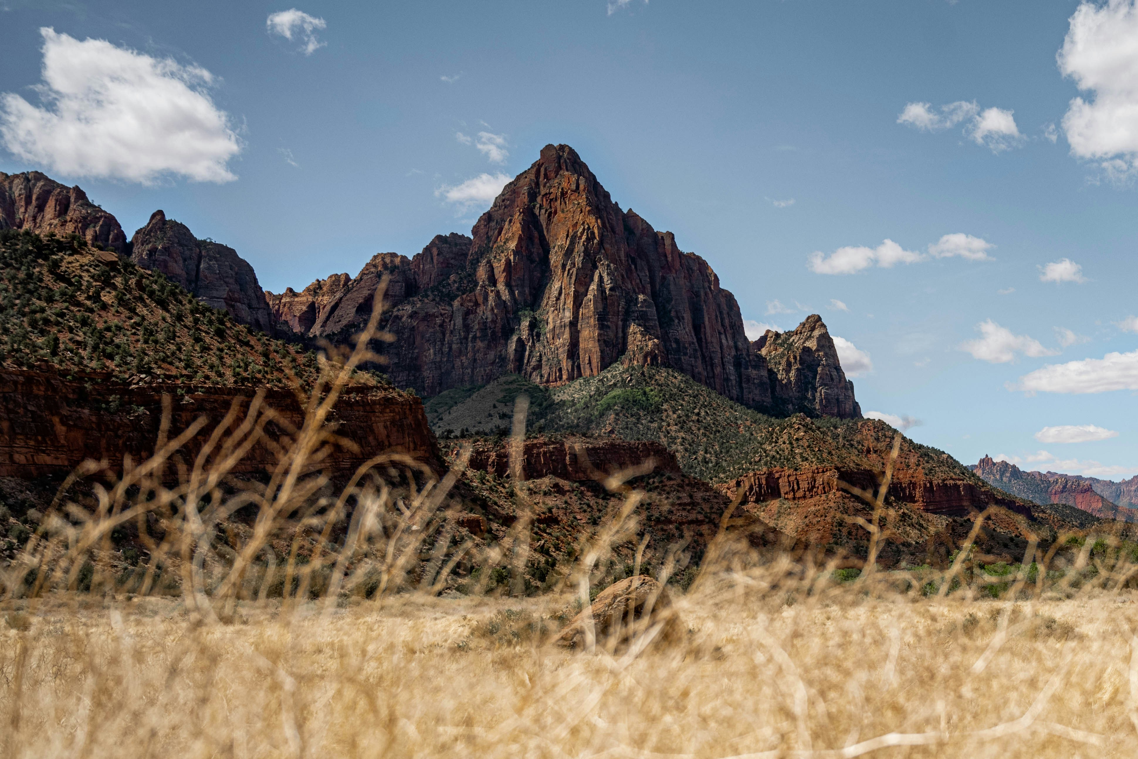 Photo by goldencoastgrams