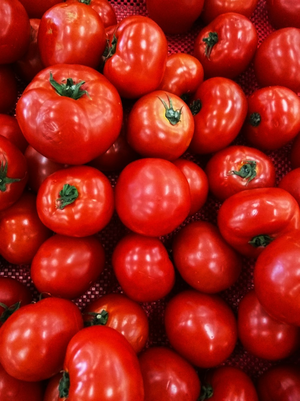 red tomato lot in close up photography