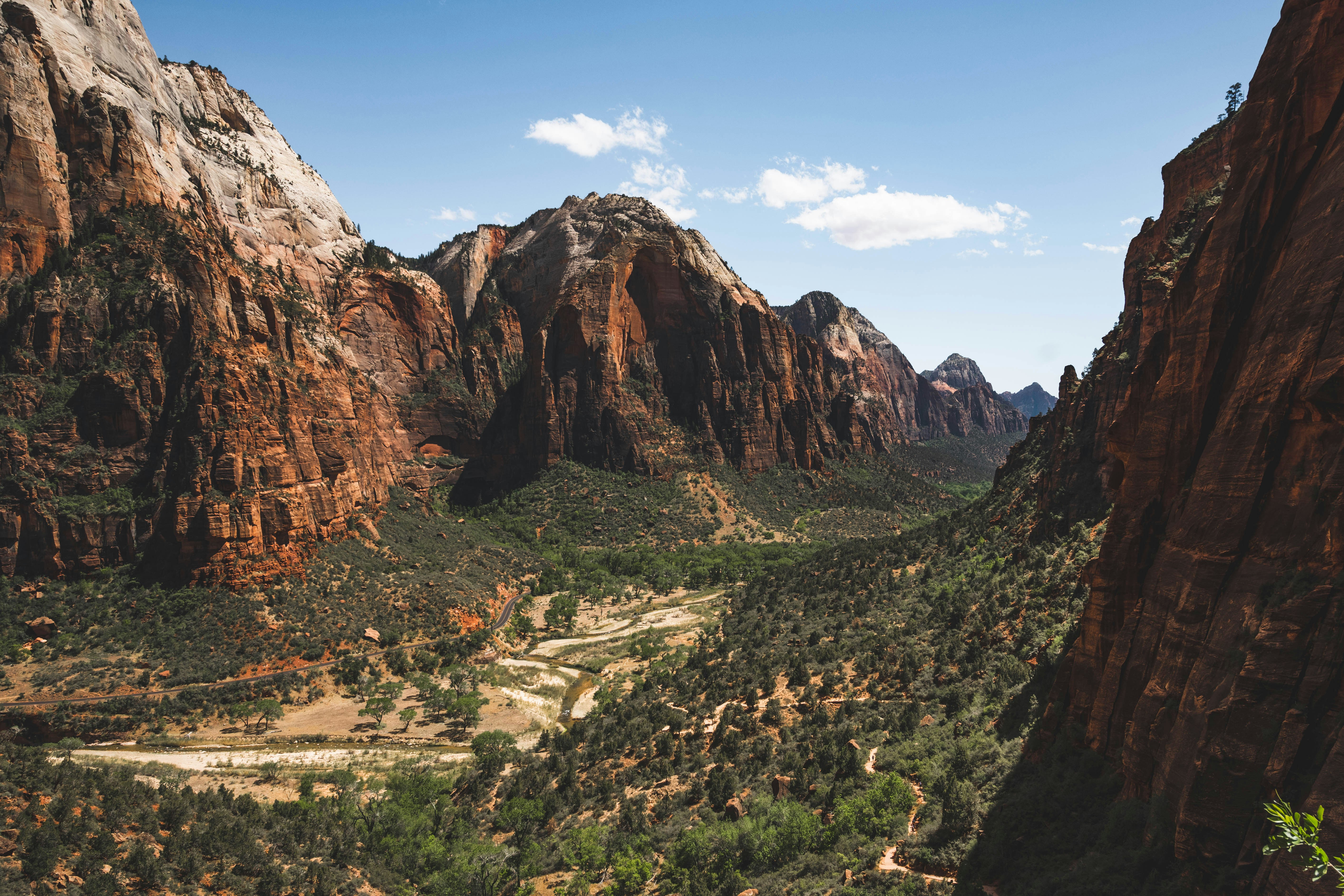 Photo by goldencoastgrams