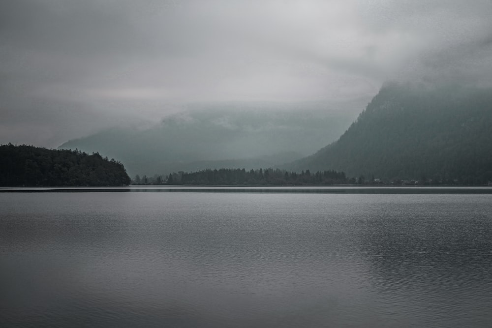 green trees near body of water under cloudy sky during daytime