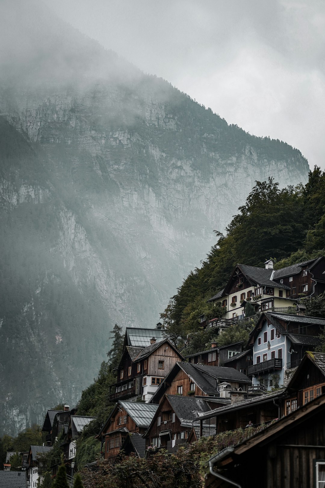 brown and white houses near green trees and mountain during daytime