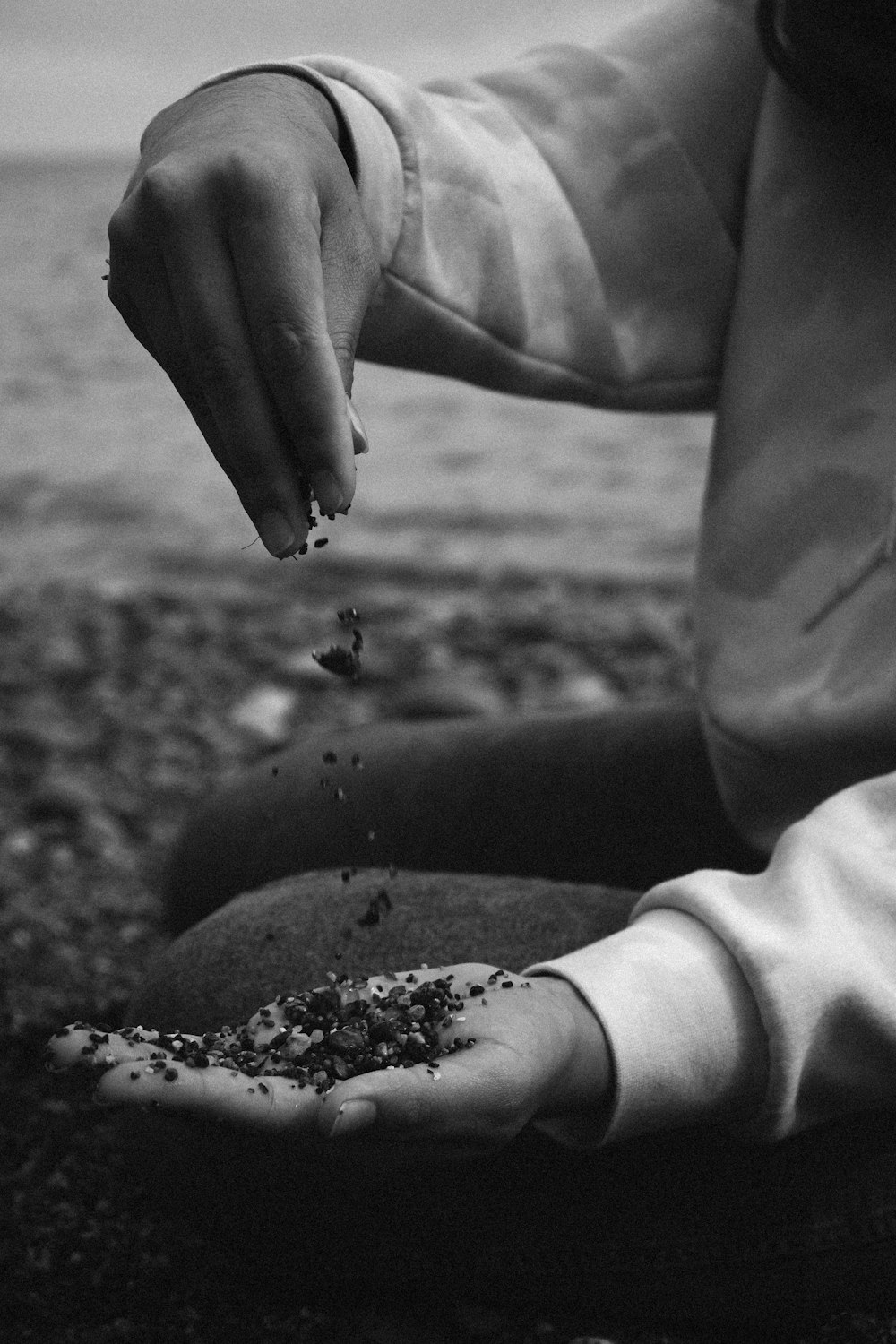 grayscale photo of person holding soil