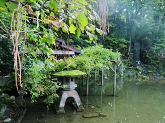 A serene view of a moss-covered stone lantern beside a quiet Kyoto temple garden pond.