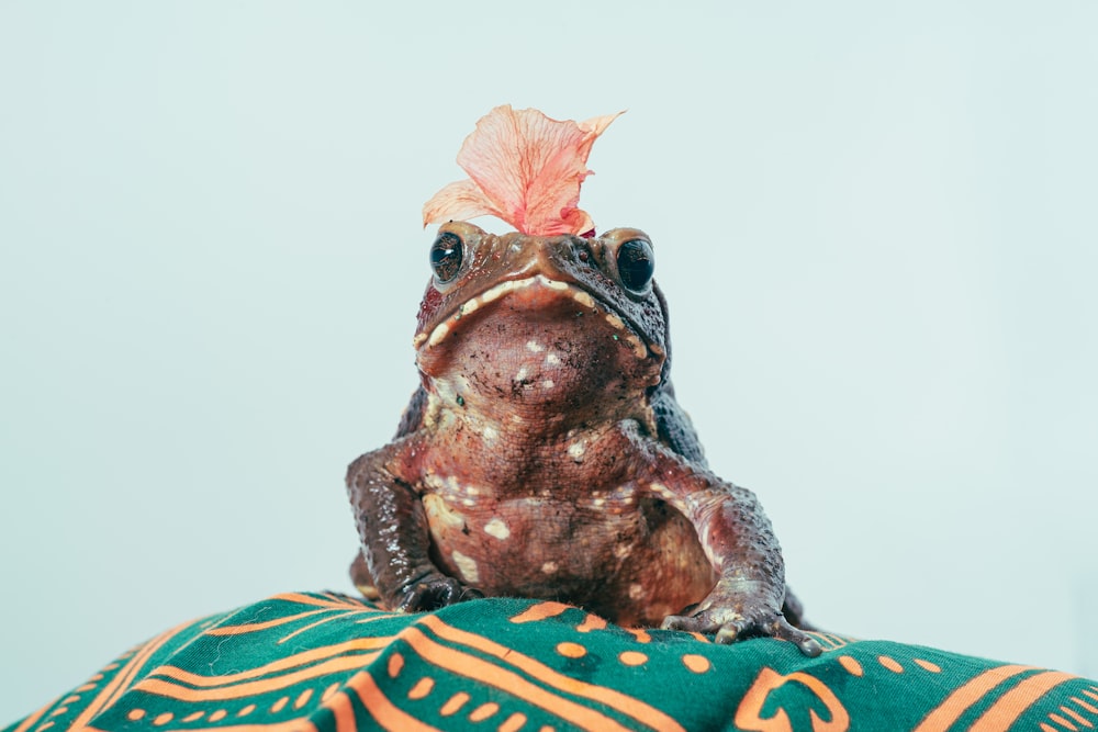 Figurine de grenouille marron et beige