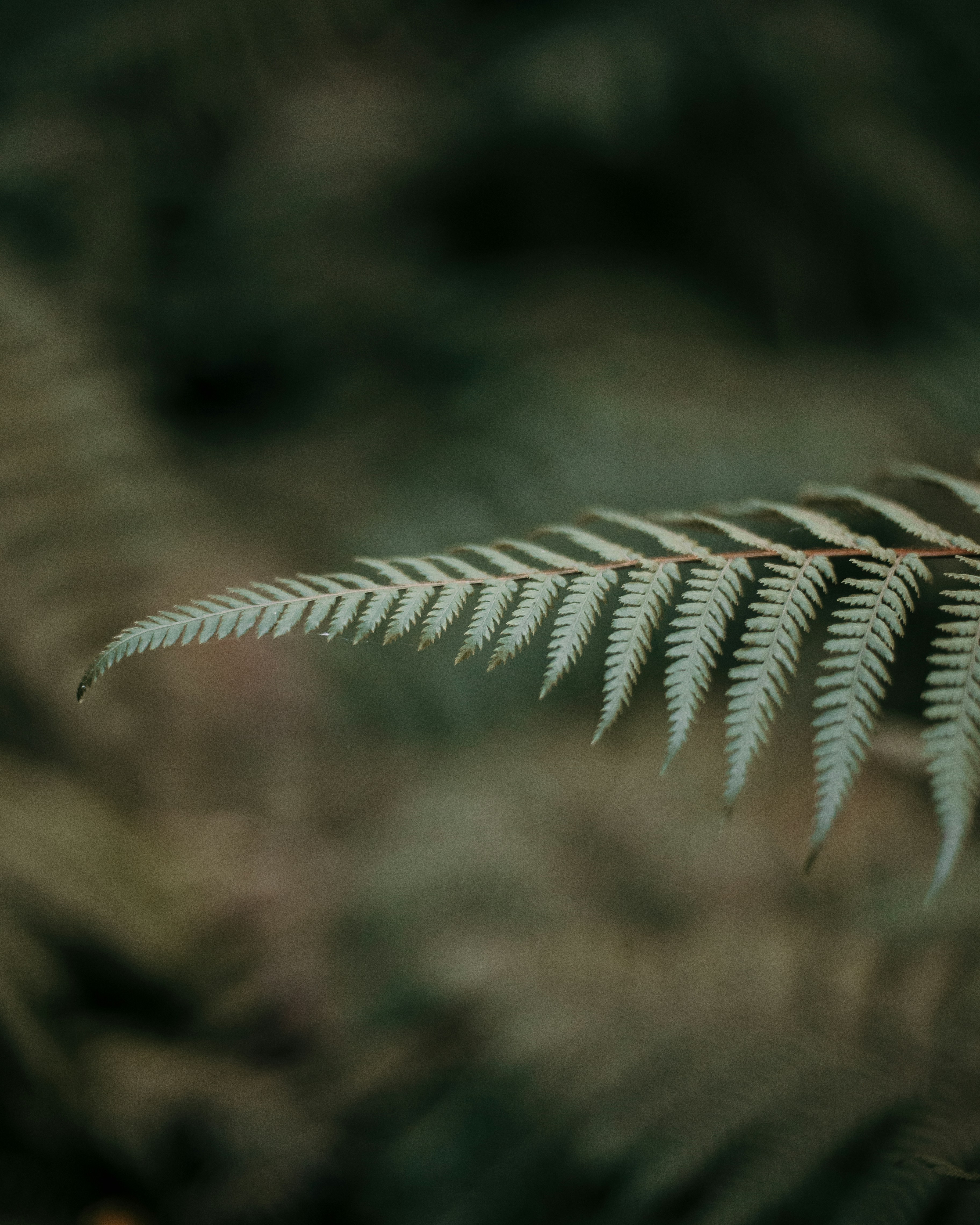 Photo by eyespeak