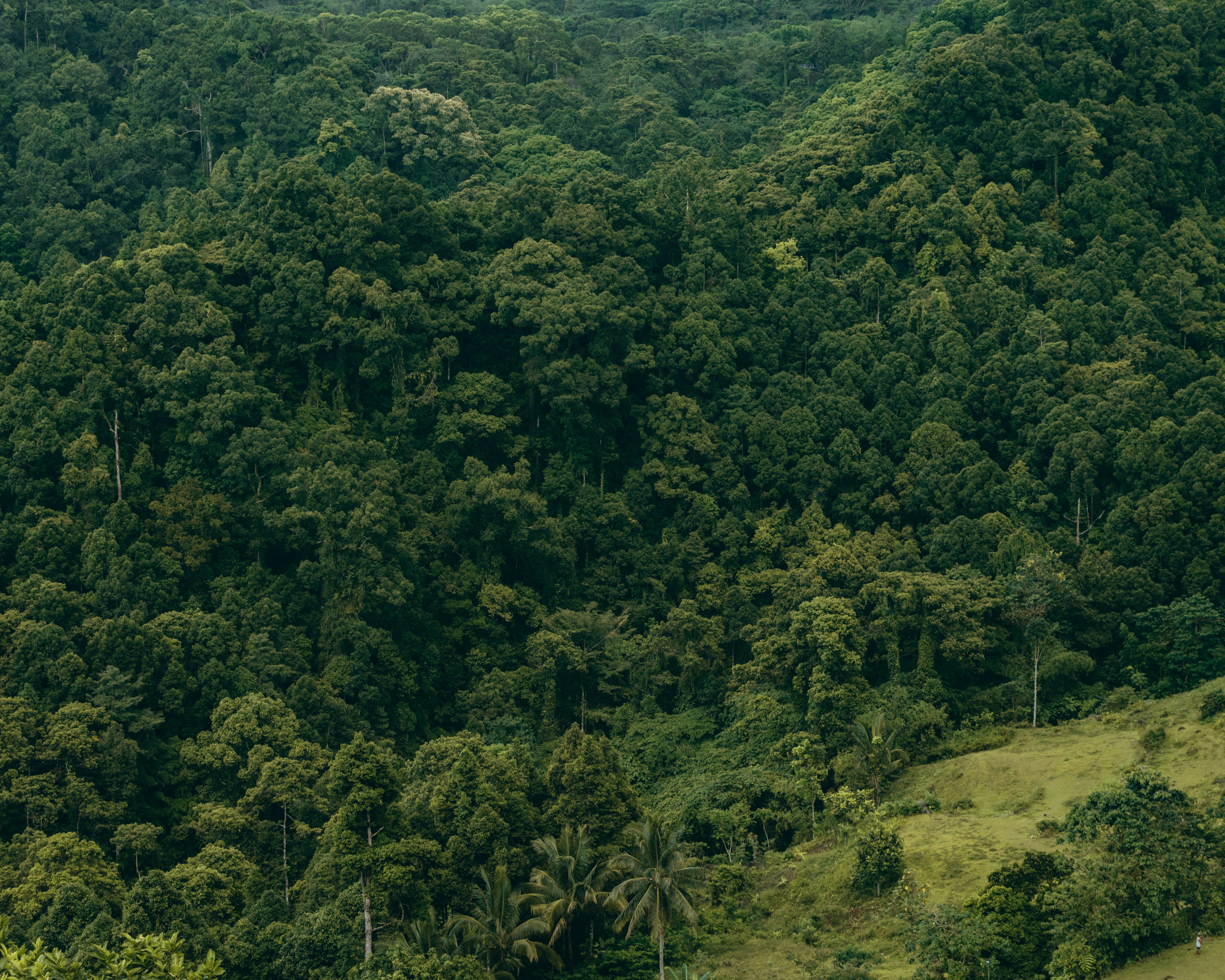 Photo by sbellocillo