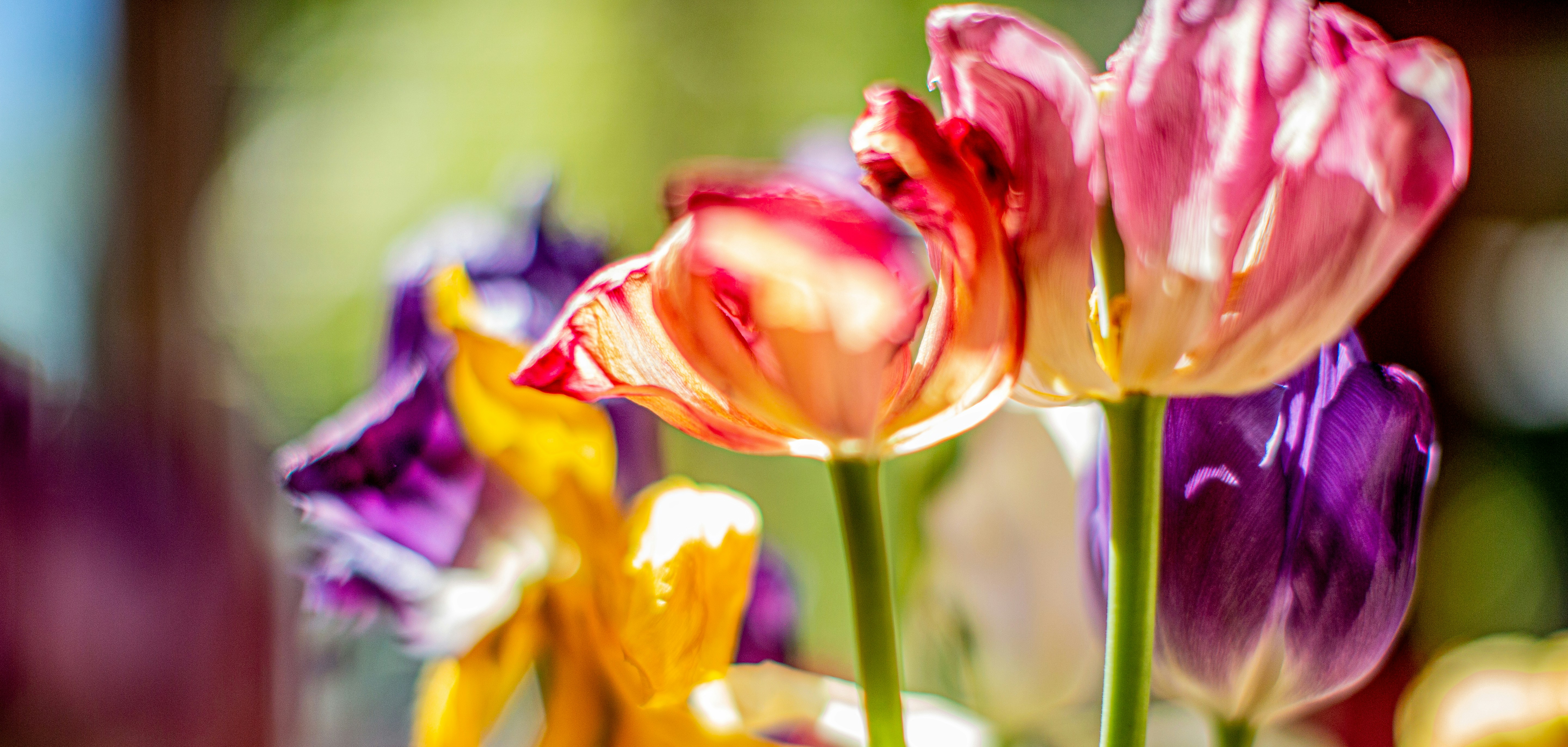 Photo by wilhelmgunkel