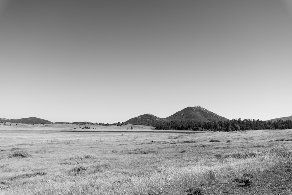 grayscale photo of mountain and grass field