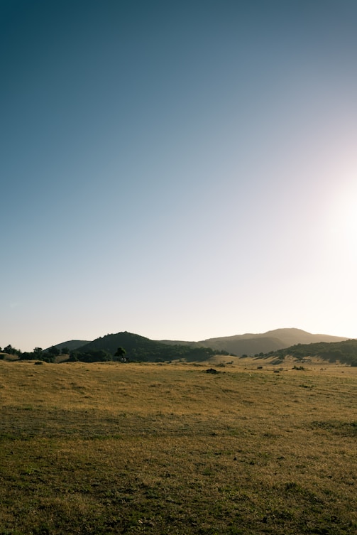 green grass field near mountain under white sky during daytime