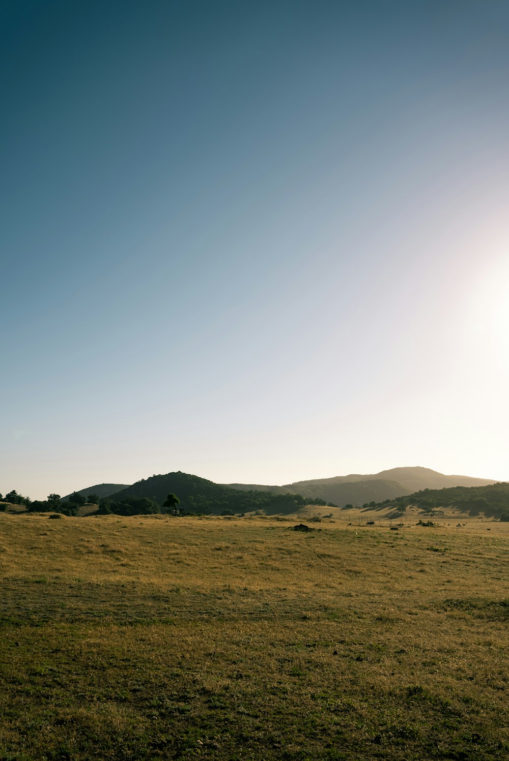 green grass field near mountain under white sky during daytime