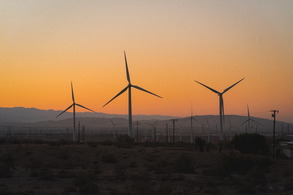 wind turbines on field during sunset