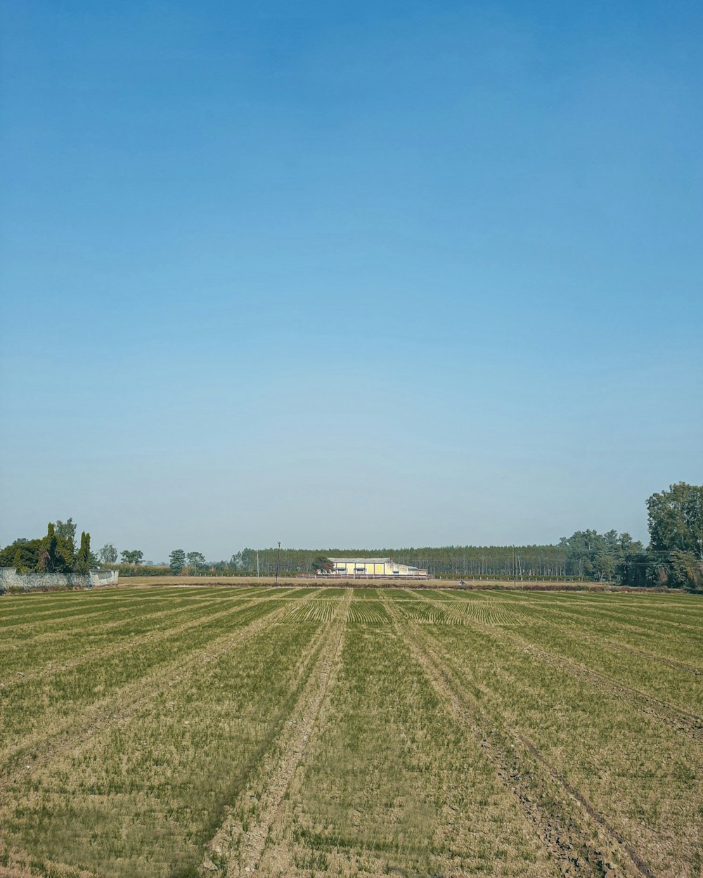 green grass field under blue sky during daytime