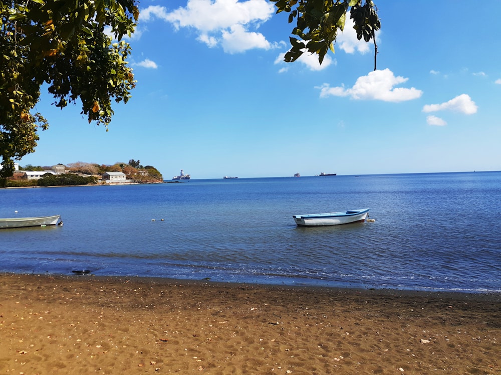 white boat on beach during daytime