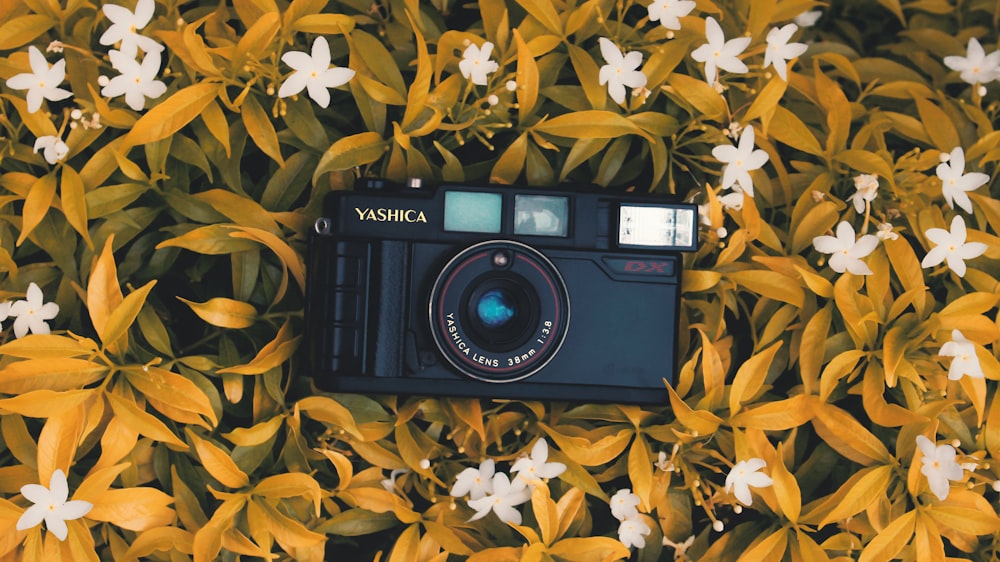 black nikon dslr camera on yellow leaves