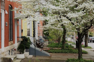 white and brown concrete building near green trees during daytime