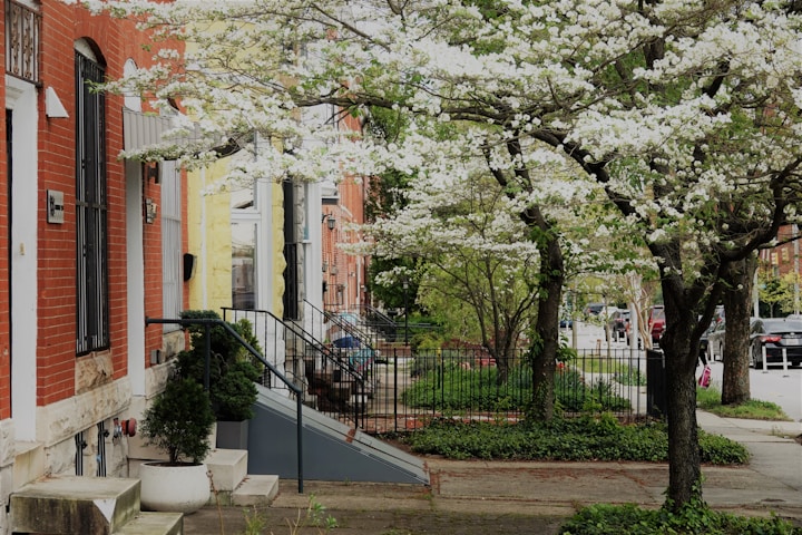 white and brown concrete building near green trees during daytime