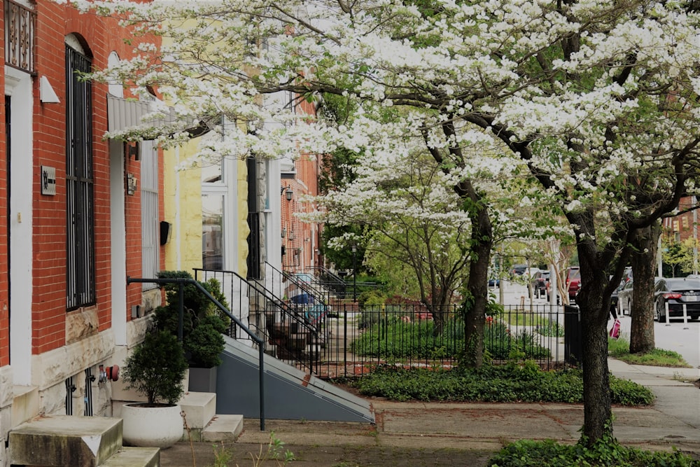 white and brown concrete building near green trees during daytime