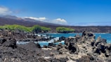 A rocky coastline with rugged, dark volcanic rocks in the foreground and gently rolling waves of a vibrant blue sea. In the midground, a cluster of lush green trees contrasts with the surrounding heat-blackened landscape. Wind turbines are visible on the distant hills under a clear blue sky with a few scattered clouds.