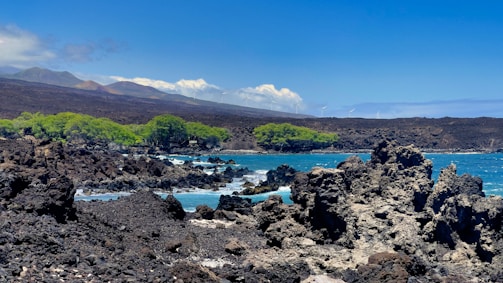 A rocky coastline with rugged, dark volcanic rocks in the foreground and gently rolling waves of a vibrant blue sea. In the midground, a cluster of lush green trees contrasts with the surrounding heat-blackened landscape. Wind turbines are visible on the distant hills under a clear blue sky with a few scattered clouds.