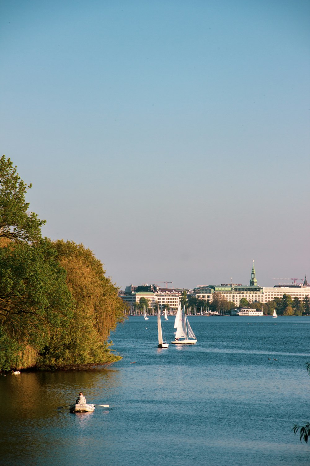 white sailboat on water near green trees during daytime