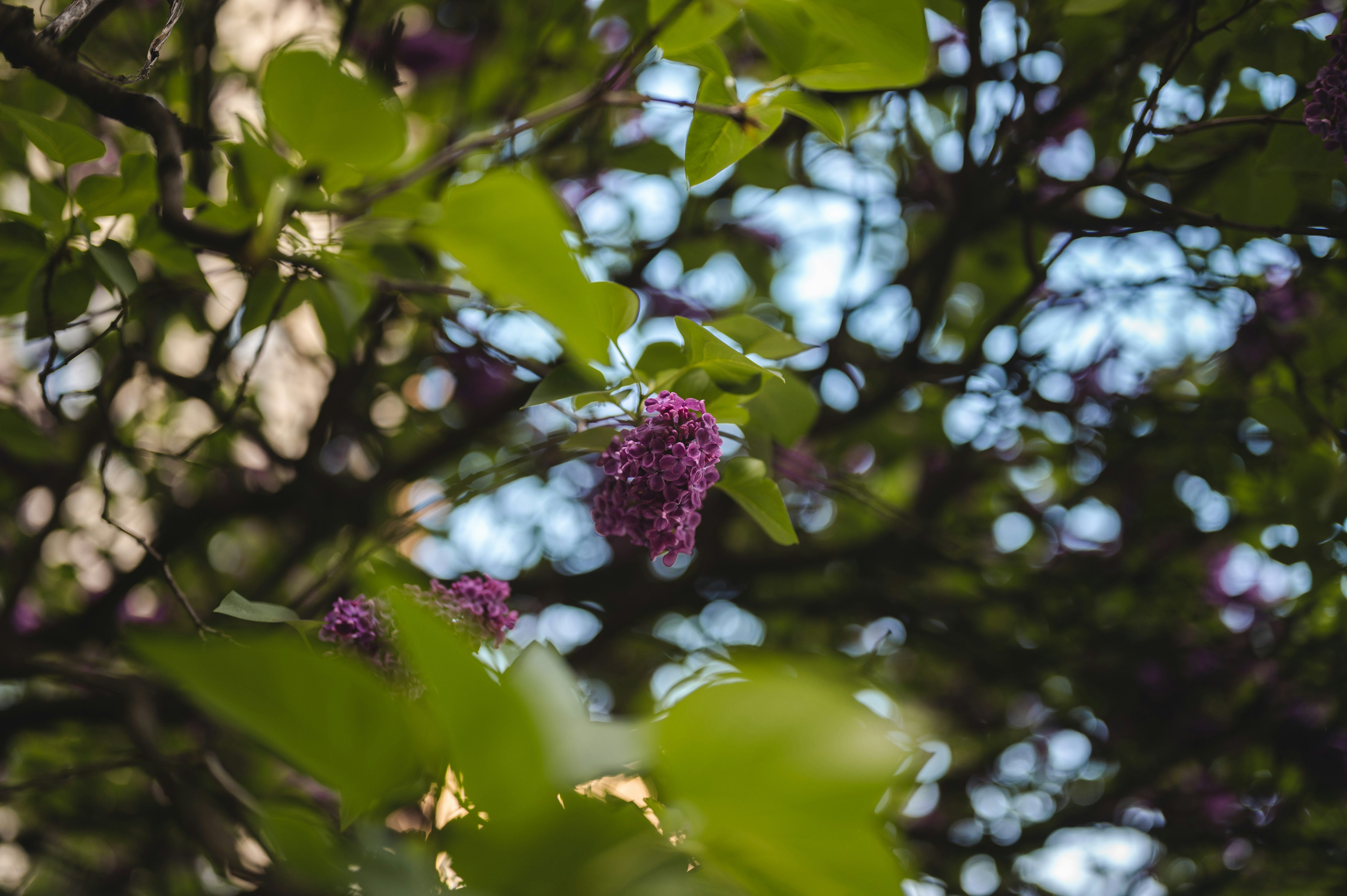 Photo by kamieniacz
