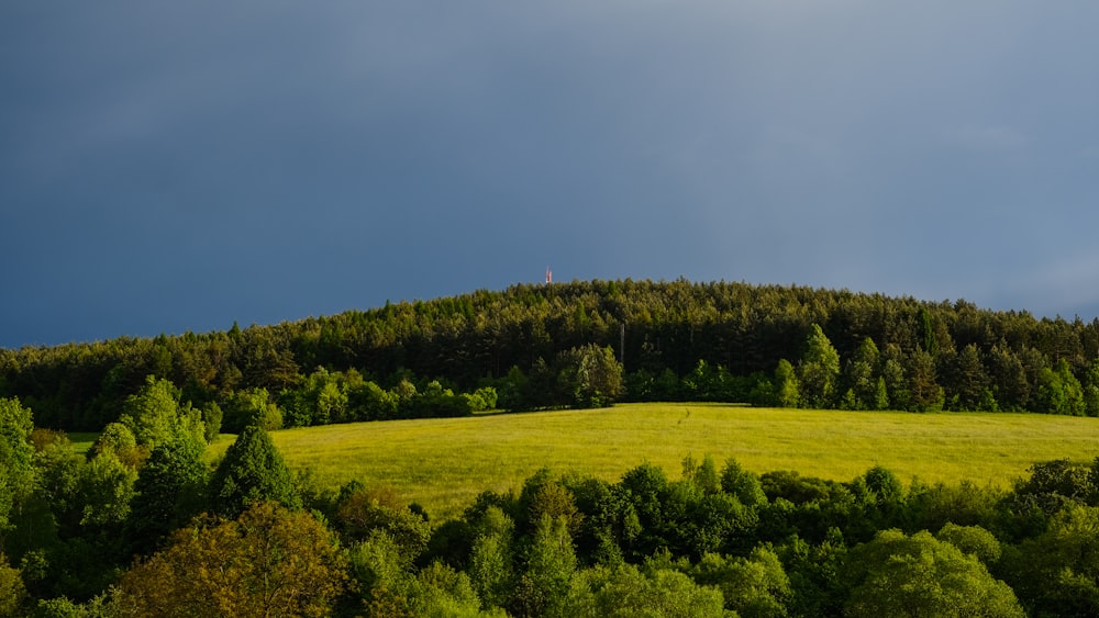 green grass field under blue sky during daytime