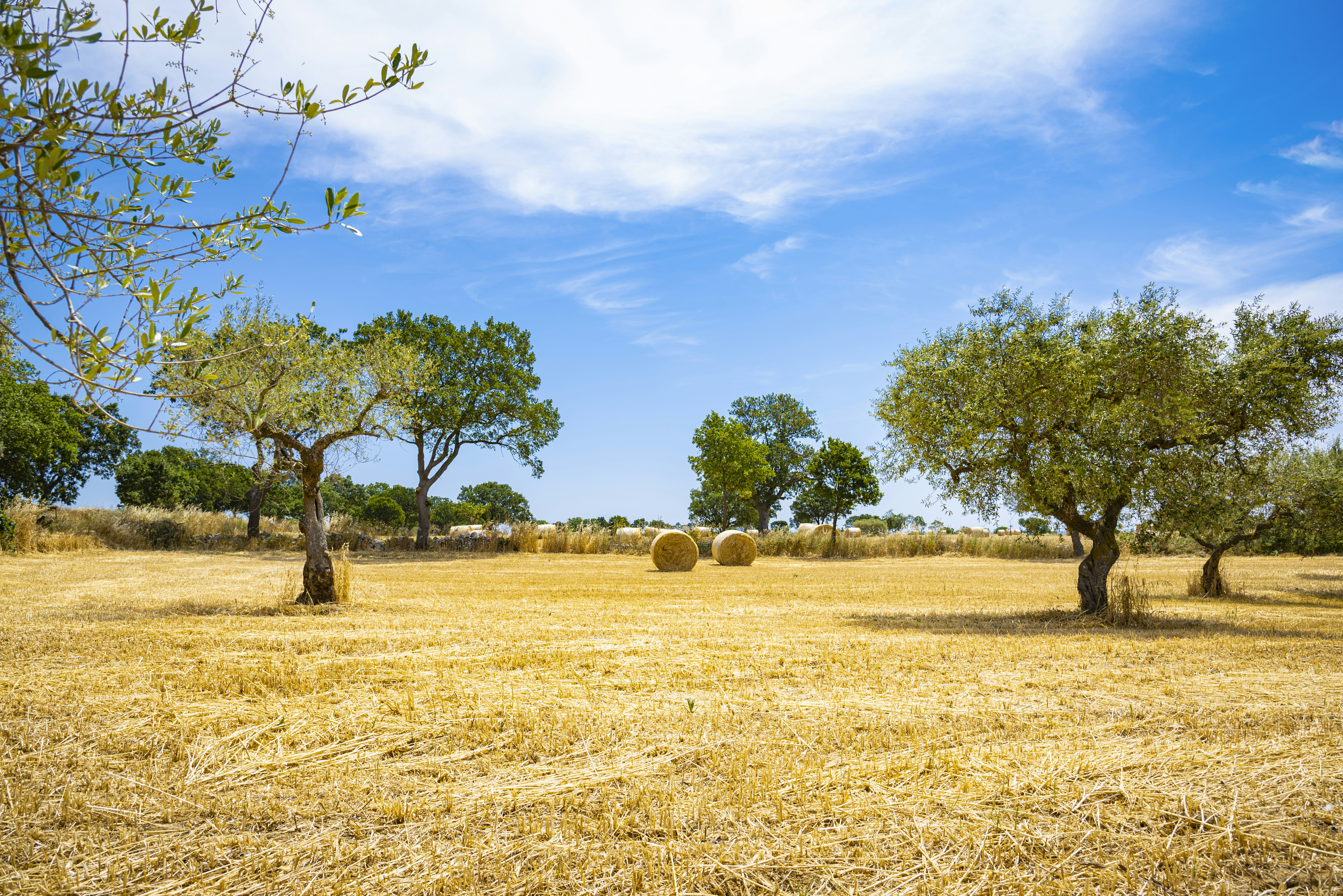 Photo by photoemotions