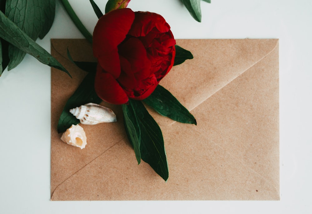 red rose on brown surface