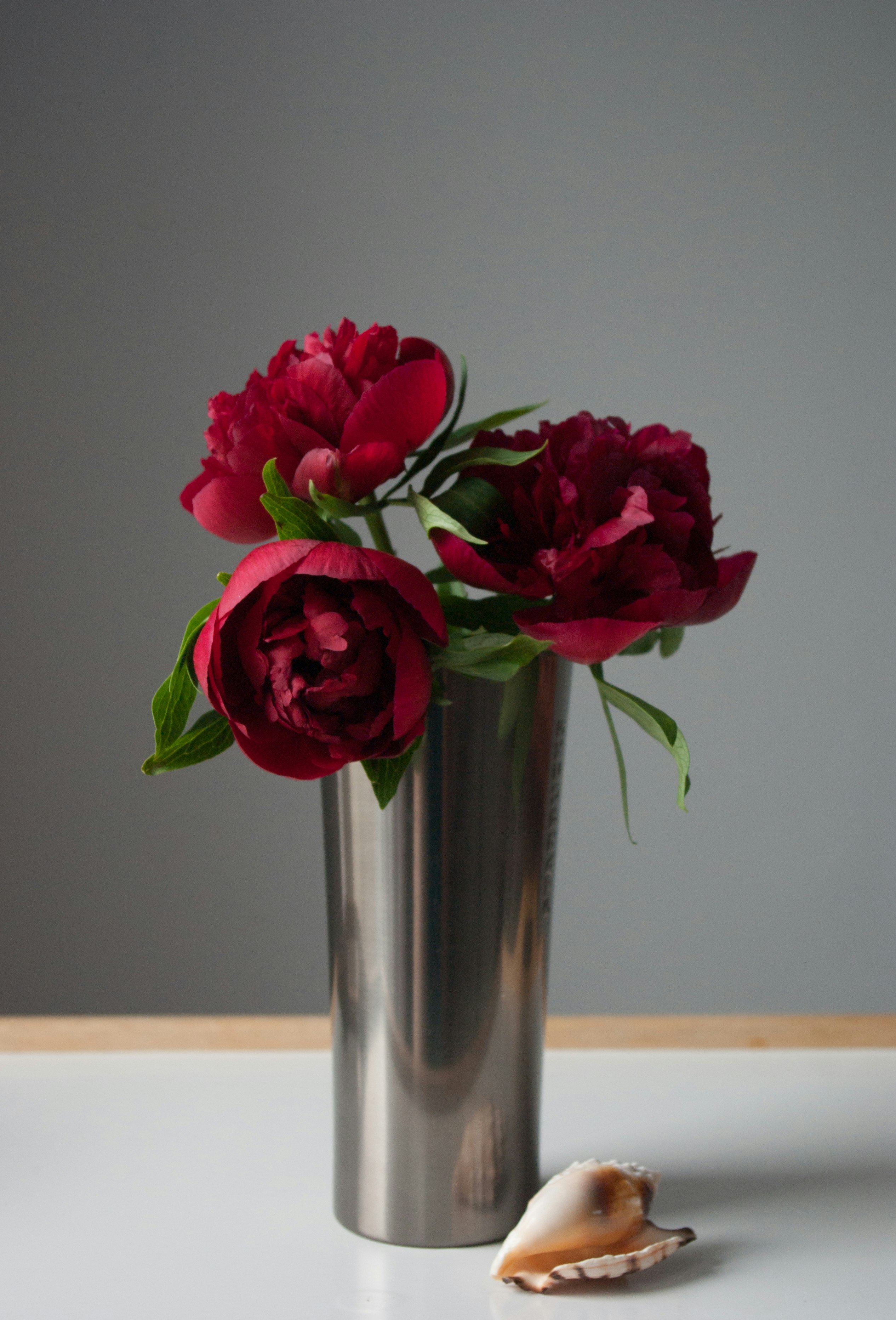 pink flower in clear glass vase