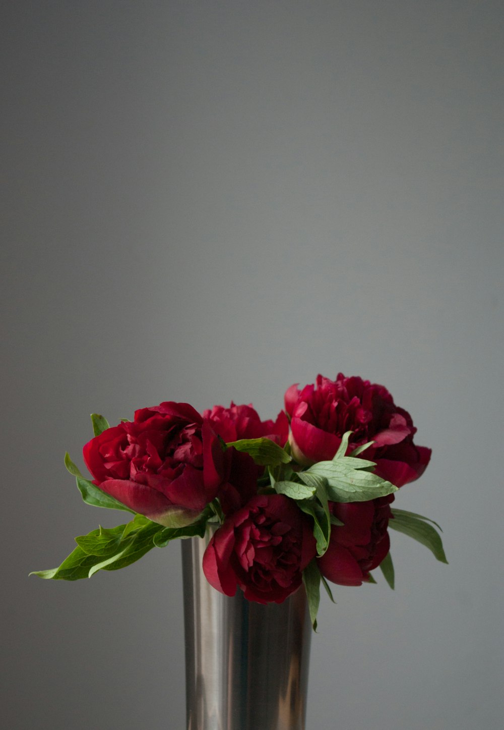 a silver vase filled with red flowers on top of a table