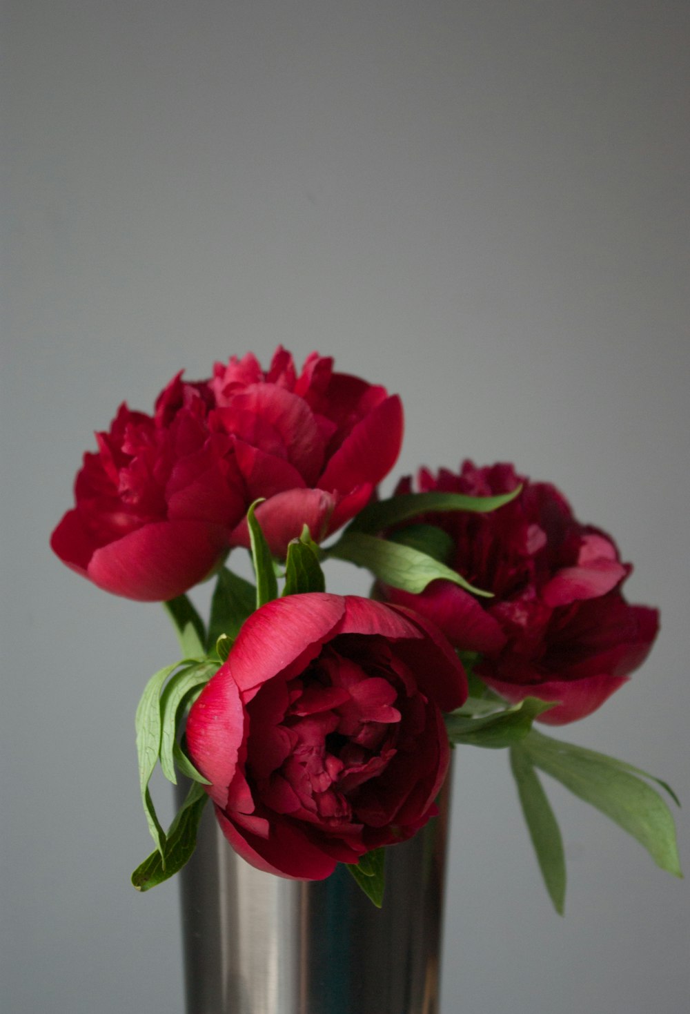 red roses in clear glass vase