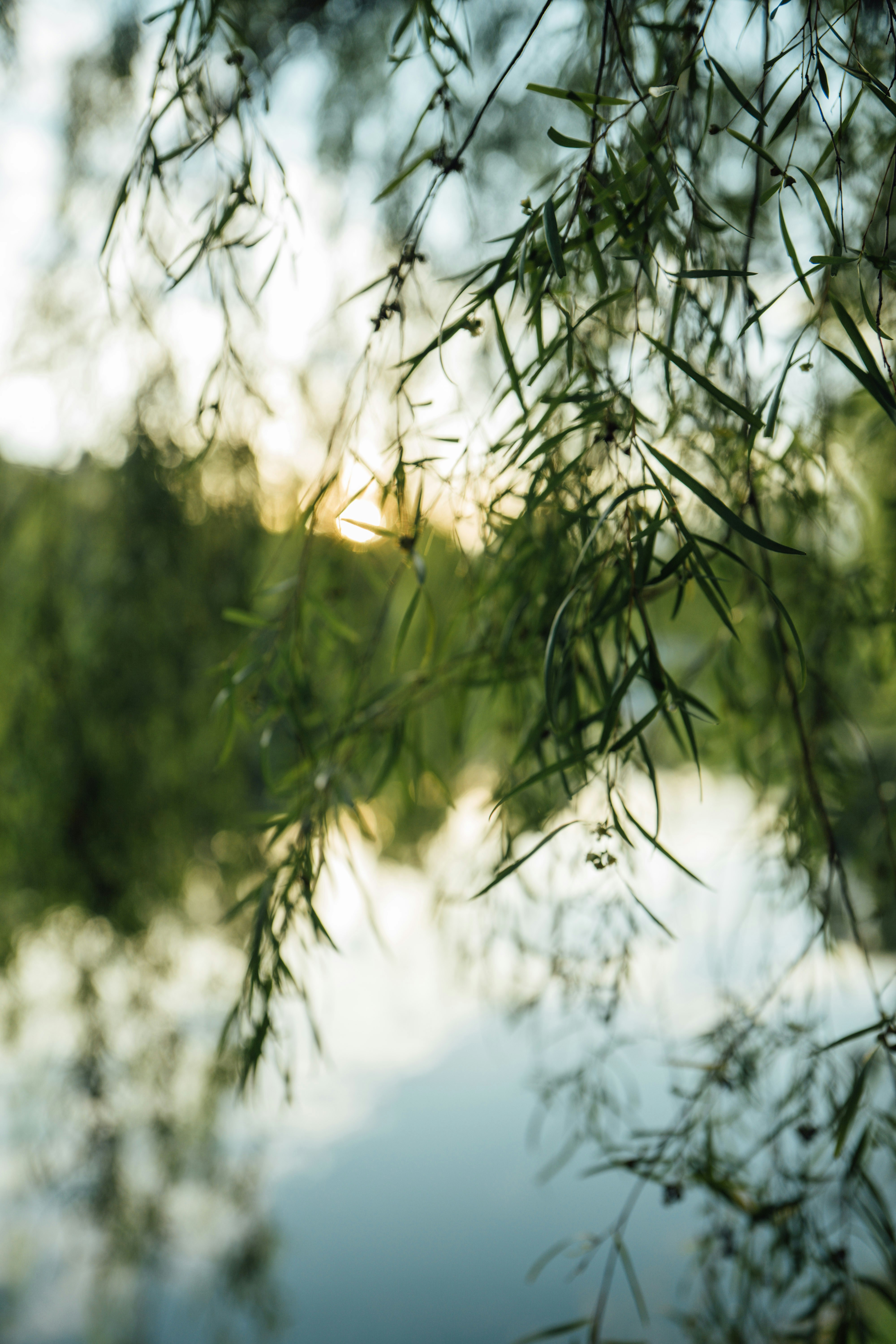 Photo by chuttersnap