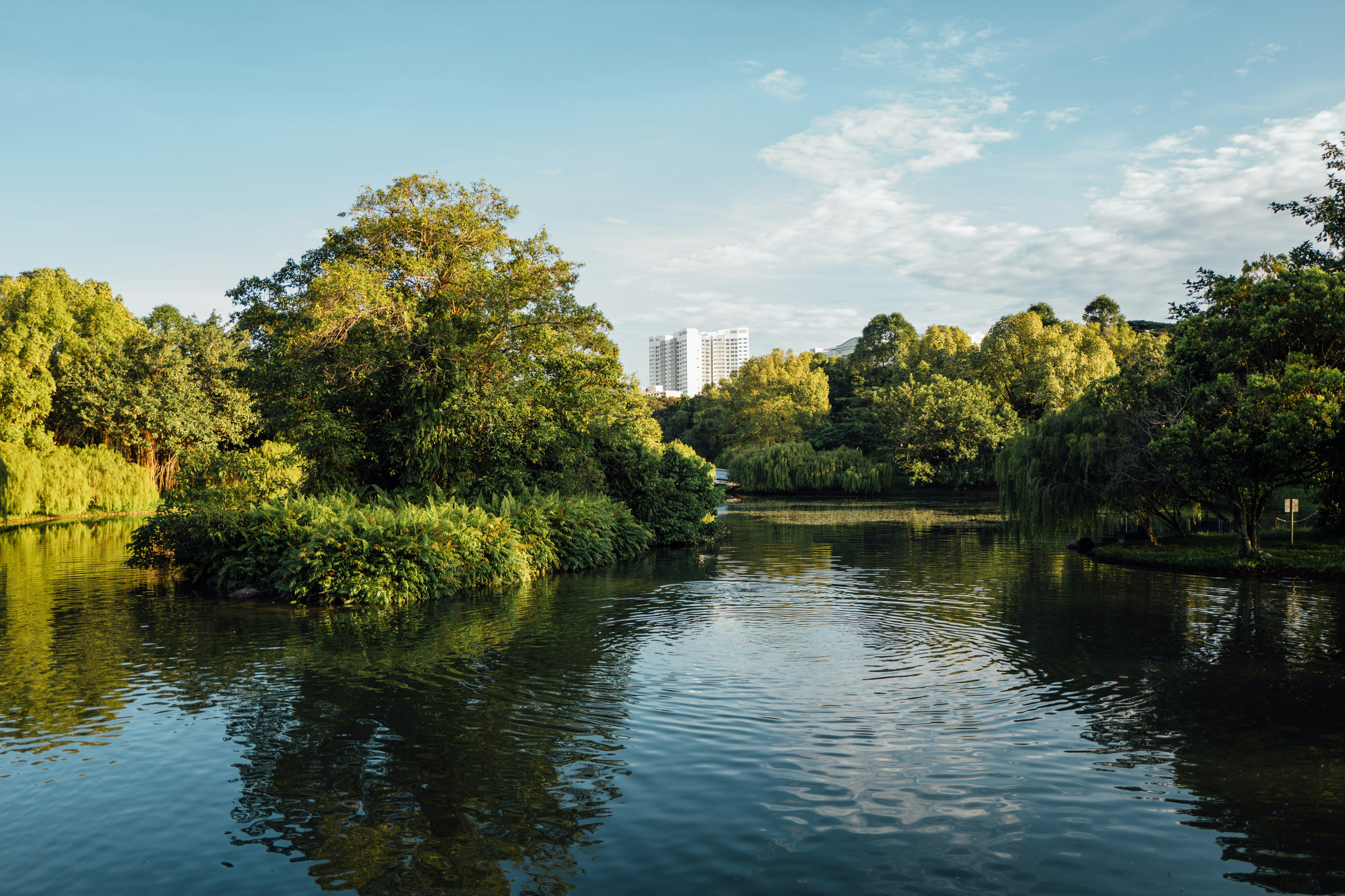 Photo by chuttersnap